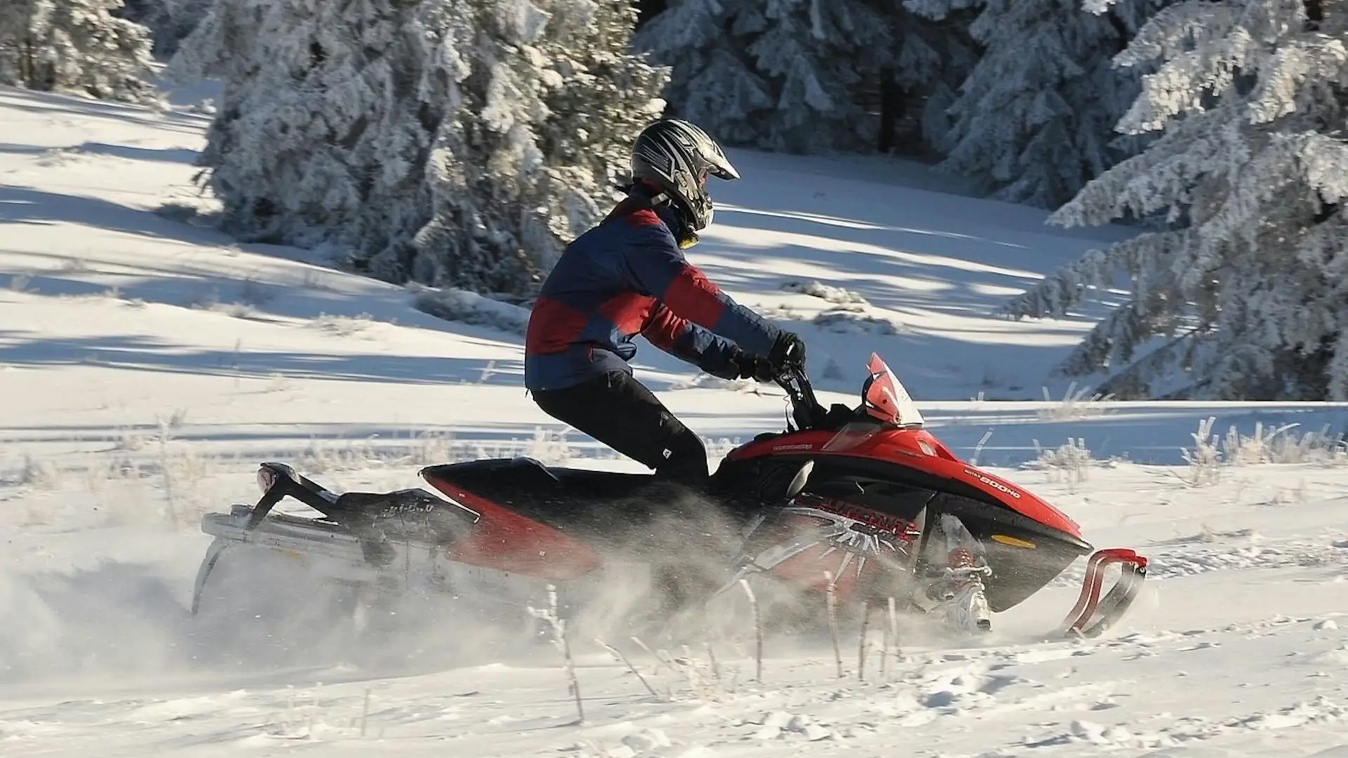 Motorne sanke