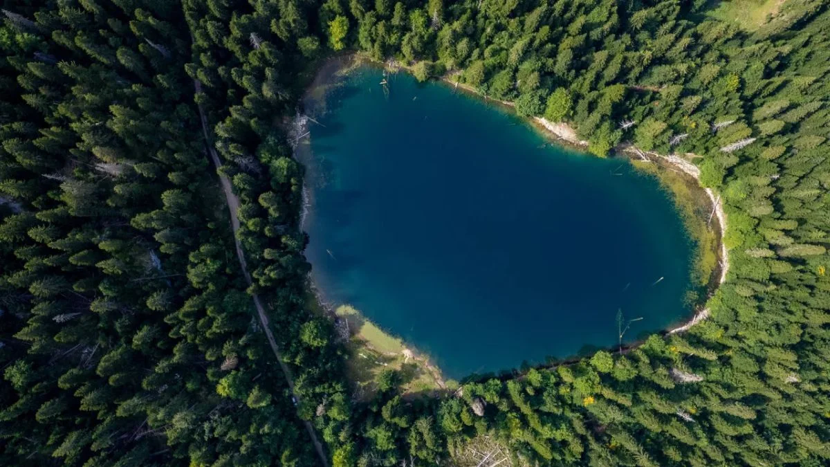 Zabojsko jezero