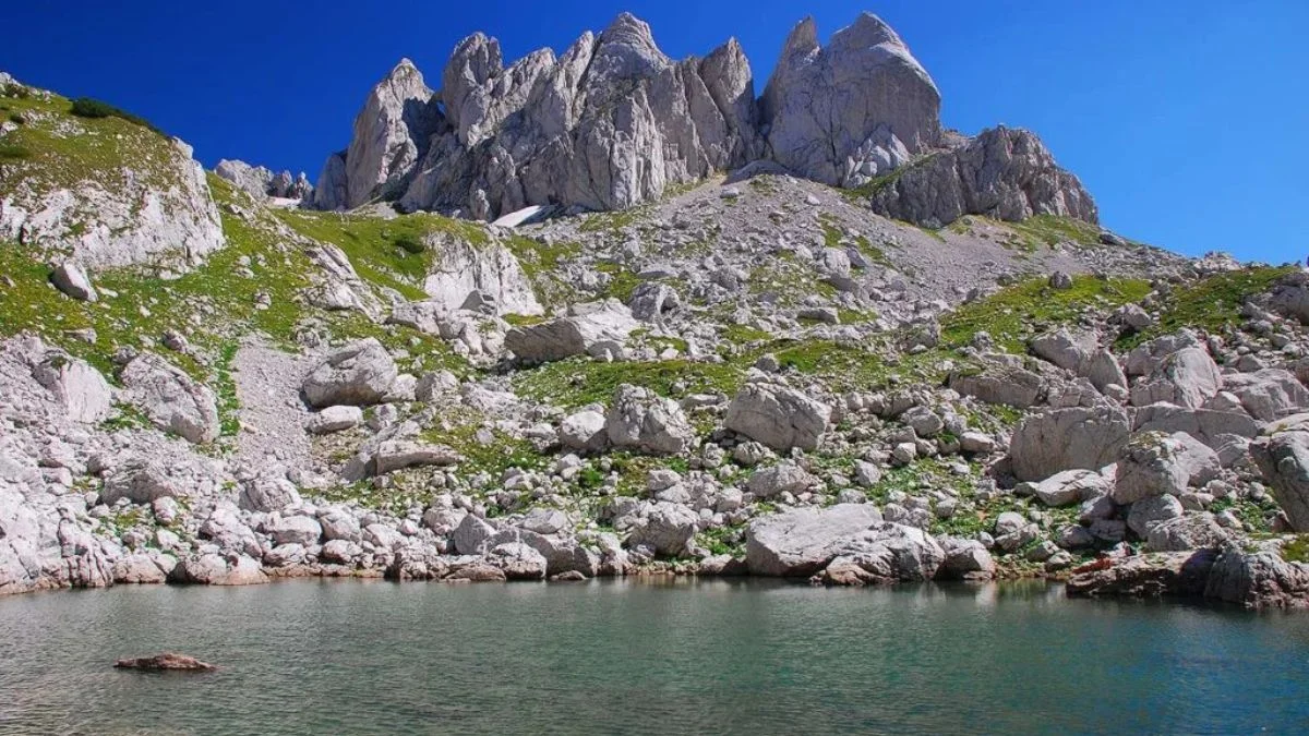 Zeleni vir