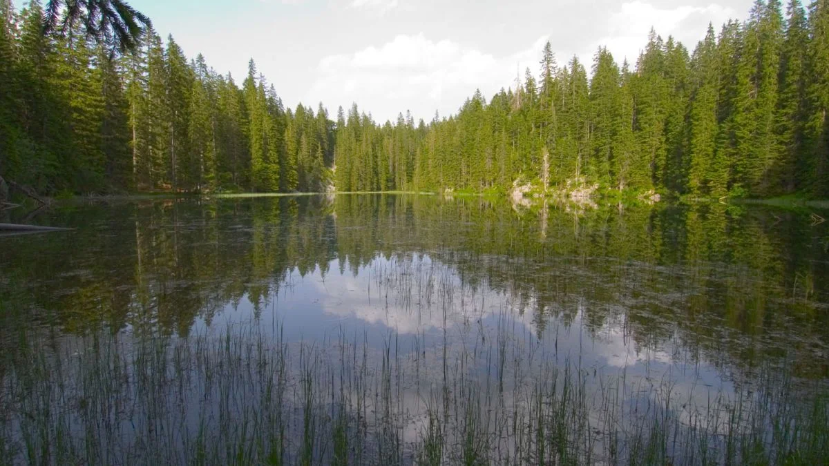 Zminje jezero